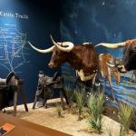 2023OTRA_533 (May 05, 2023)